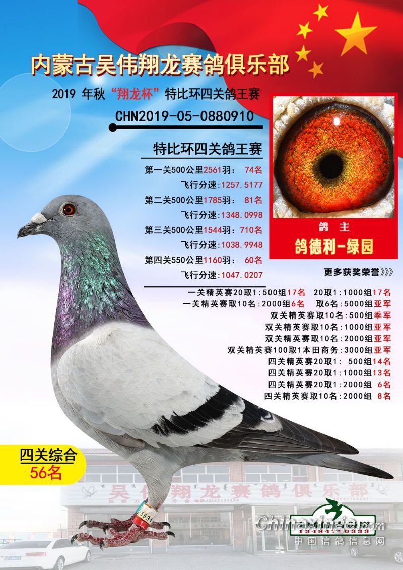 2019年秋季吴伟翔龙赛格俱乐部四关鸽王337名获奖赛鸽