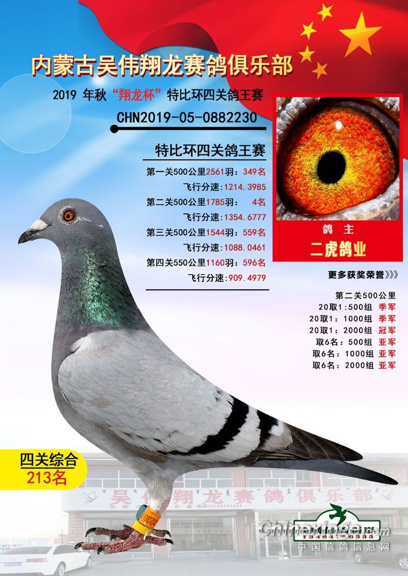 2019年秋季吴伟翔龙赛格俱乐部四关鸽王337名获奖赛鸽