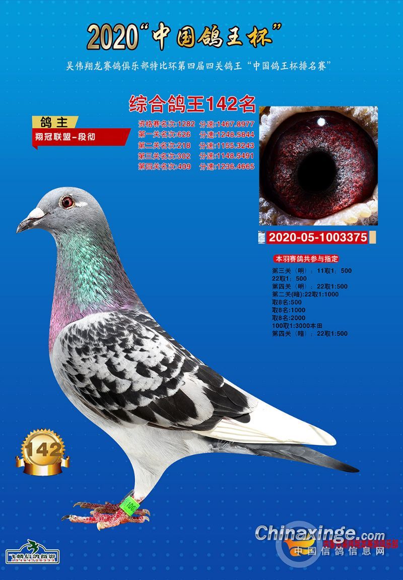 2020年吴伟翔龙赛鸽俱乐部四关综合101-150名
