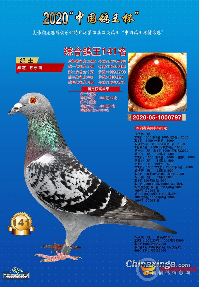 2020年吴伟翔龙赛鸽俱乐部四关综合101150名